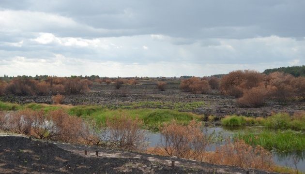 У Чорнобильській зоні ще тліє лісова підстилка