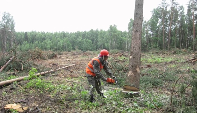 Shmyhal discusses problems of forest industry with woodworkers of Zhytomyr region