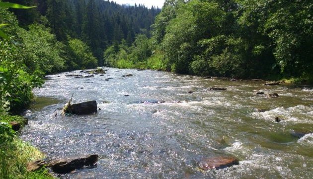 Рятувальники попереджають про підняття рівня води у річках Карпат
