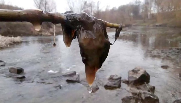 На Житомирщині очистять річки, спаскуджені загадковим клеєм