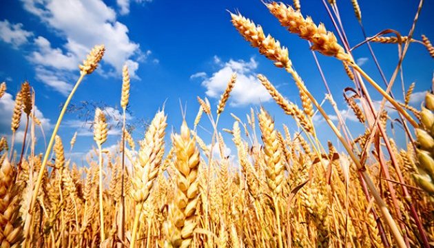 Аграрії Вінниччини зібрали другий мільйон тонн ранніх зернових