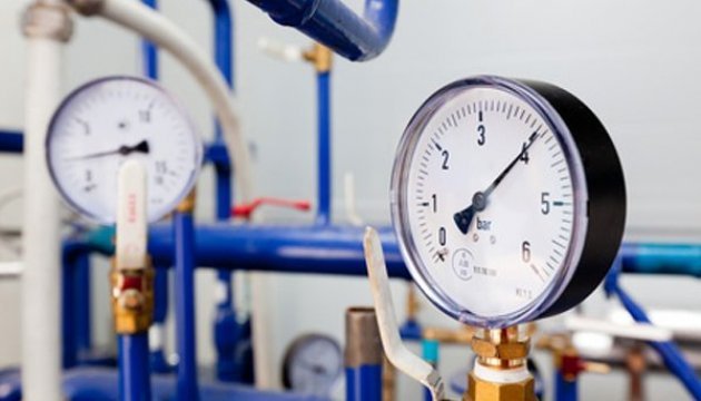 Energy Minister Nasalyk: Ukraine will halt gas imports in 4.5 years time