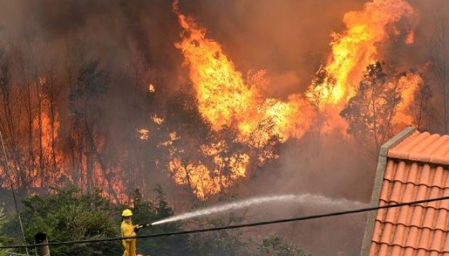 Лісові пожежі на Мадейрі: згорів готель, троє загиблих