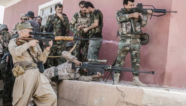 Німеччина відновила постачання зброї іракським курдам