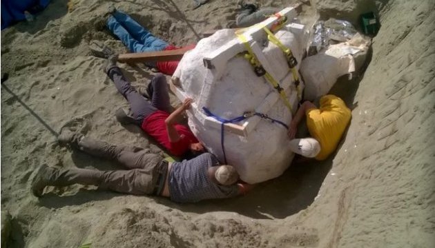 У Штатах знайшли неушкоджений череп тиранозавра