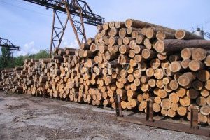 У Росії підприємства лісової промисловості через санкції зазнають збитків - ЦПД