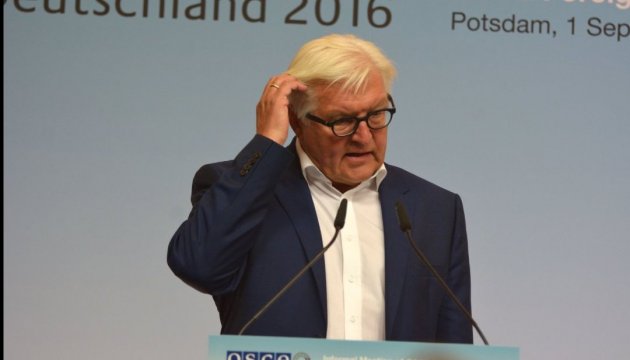 Steinmeier supports CoE initiative on monitoring in Crimea