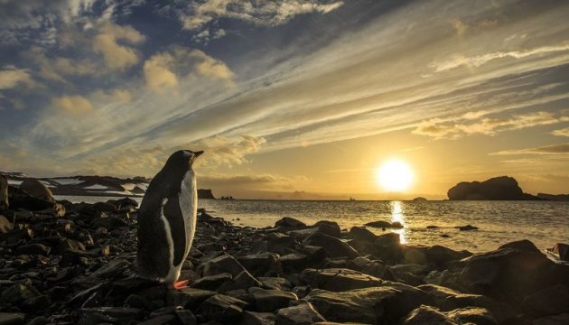 National Geographic shows spectacular nature scenes (photos)