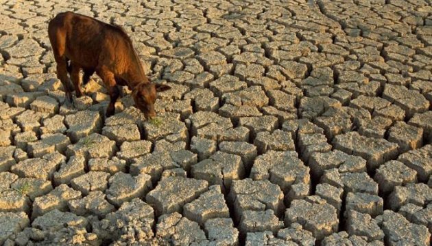 About 70% of Crimean steppe area unsuitable for farming