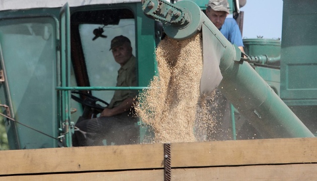 Ukraine gathers record grain harvest, exports almost half – Minister 