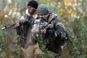 Военное руководство Украины стремится централизованно координировать партизан – ISW