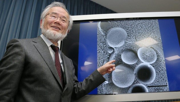 Доктор Осумі винайшов зброю проти найважчих хвороб