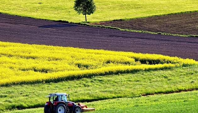 Близько 40% розпайованих земель в Україні 