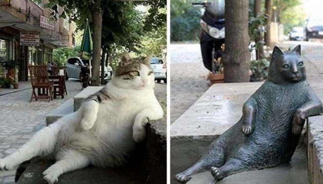 У Стамбулі встановили пам'ятник ледачому коту