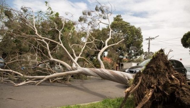 Над Австралією пронеслася потужна буря, є жертви
