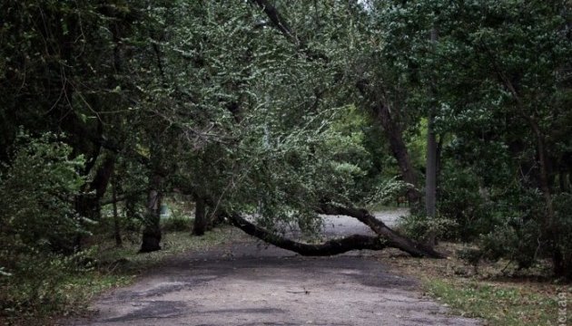 Three people killed by severe weather in Odesa region 