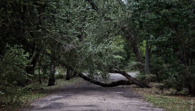 Drei Menschen sterben bei Unwetter in Odessa