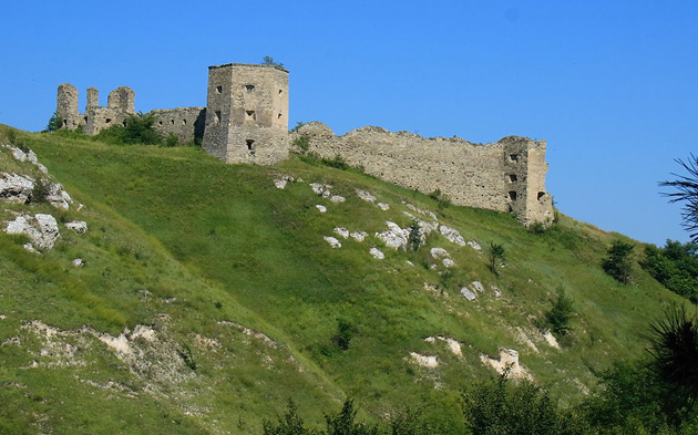 Кудринецький замок — фортифікаційна споруда у селі Кудринці Борщівського району Тернопільської області.