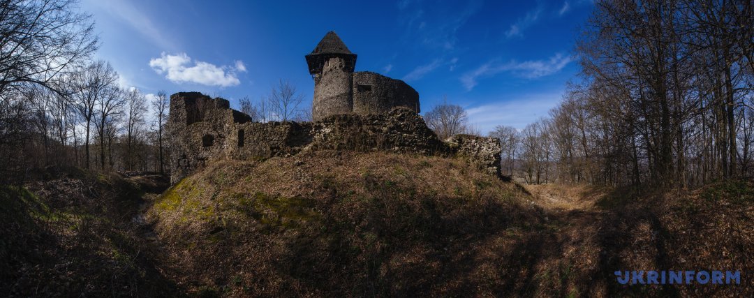 Не́вицький замок — напівзруйнований замок біля села Кам'яниця Ужгородського району Закарпатської області.