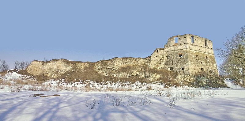 Токівський замок (Ожиговецький замок) — пам'ятка архітектури місцевого значення, оборонна споруда у селі Токи Підволочиського району Тернопільської області.