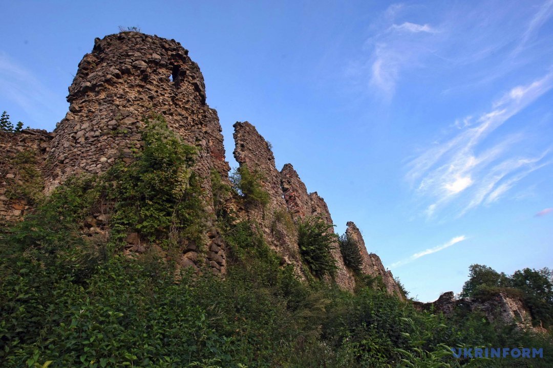Хустський замок — фортифікаційна споруда, що існувала в XI—XIII століттях у місті Хусті (Закарпатська область, Україна).