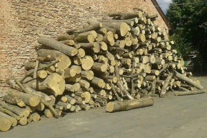 У Міндовкіллі сказали, скільки треба дров до опалювального сезону