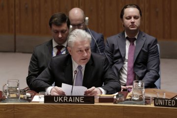 Україна ініціювала розгляд ситуації в Грузії у Радбезі ООН