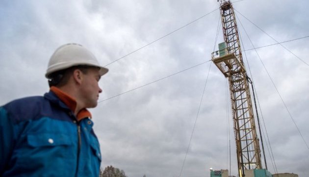 Насалик: Підтверджені запаси газу в Україні - 950 мільярдів кубів