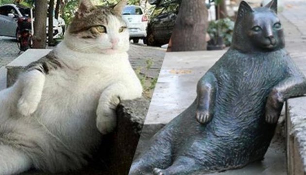 Пам'ятник задумливого кота в Стамбулі викрали