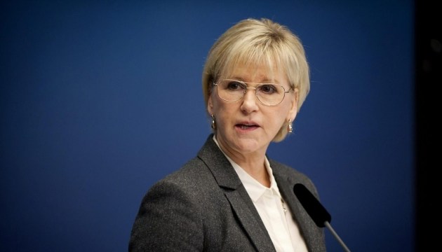 Swedish foreign minister urges Ukraine to improve legislation on e-declaration