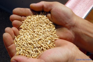 Farmers harvest about 294,000 t of early grain and leguminous crops