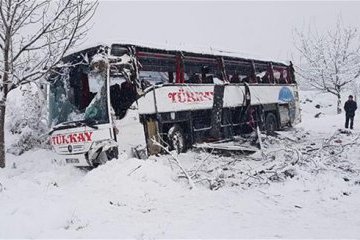 У Туреччині автобус впав зі скелі: п'ятеро людей загинули, десятки поранені
