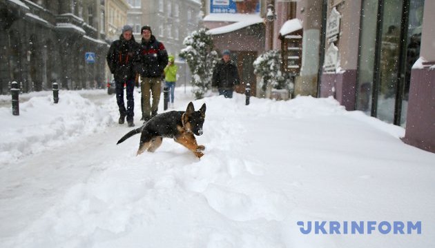 У Києві на четвер обіцяють легкий морозець та ожеледицю