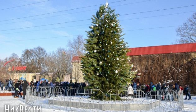 У Миколаєві з-під Леніна «виросла» головна ялинка міста У Миколаєві з-під Леніна «виросла» головна ялинка міста