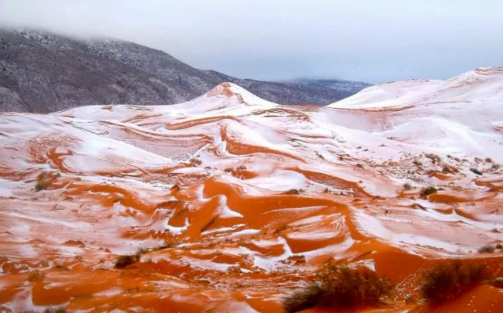 У Сахарі вперше за майже 40 років випав сніг