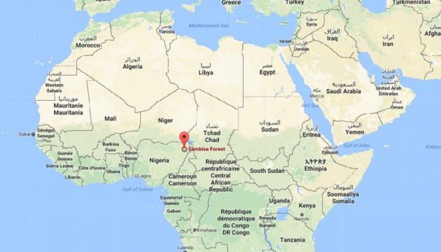 Нігерійські війська захопили «столицю» терористів