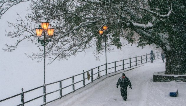 Strong wind, snowstorm expected in Ukraine today; avalanche danger remains in Carpathians