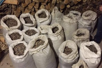 Розслідування стрілянини в Олевську: поліція вилучила півтонни бурштину