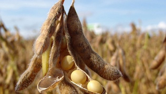 Ukraine's agriculture ministry intends to increase sowing areas of soybeans