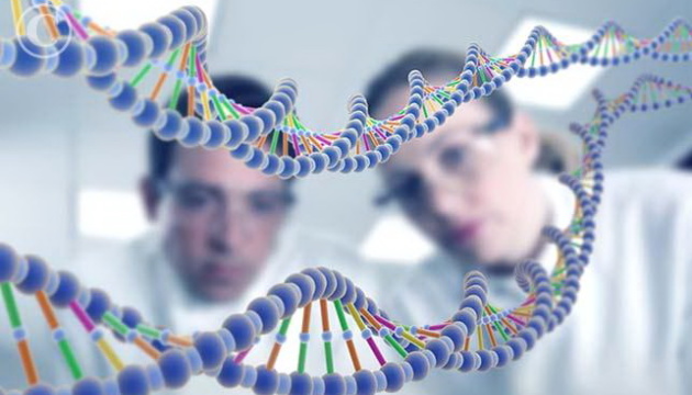  У США заявили, що зможуть редагувати геном людини
