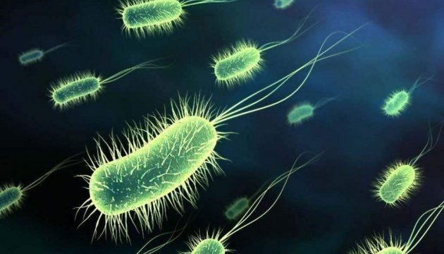 ВООЗ назвала найнебезпечніші для людини бактерії