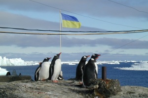 У Києві відкриється фотовиставка Національного антарктичного наукового центру