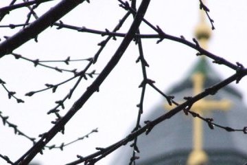 13 березня: народний календар і астровісник
