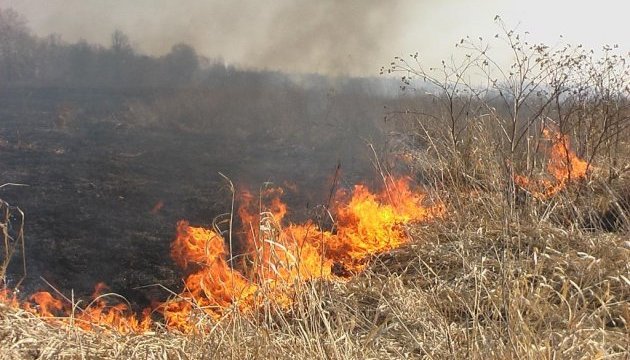 На Чернігівщині палають сотні гектарів сільгоспугідь