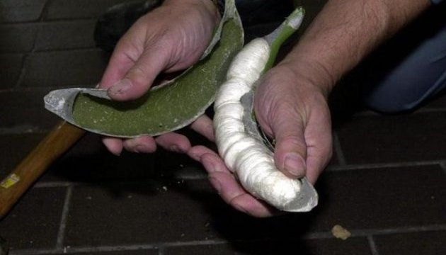 Іспанська поліція знайшла у фальшивих бананах 17 кілограмів кокаїну