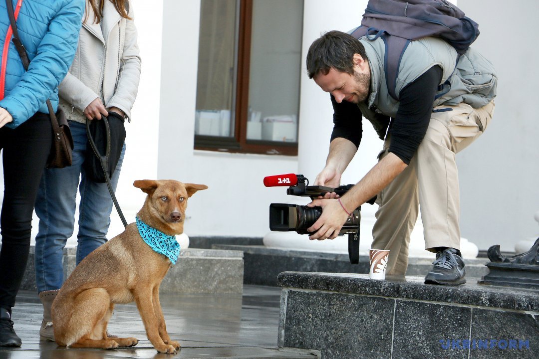 Журналіст знімає камерою собаку під час Всеукраїнського мітингу на підтримку законопроекту про захист тварин поруч із будівлею Одеської міської ради, Одеса, 4 квітня 2017 року. Фото: Ніна Ляшонок. 