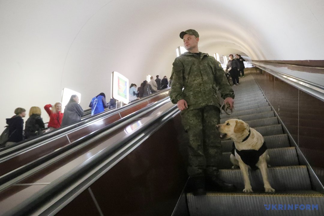 Кінолог з собакою спускаються ескалатором у київському метро, де у зв'язку з терактом у Санкт-Петербурзі було посилено режим безпеки, 6 квітня 2017 року. Фото: Павло Багмут.