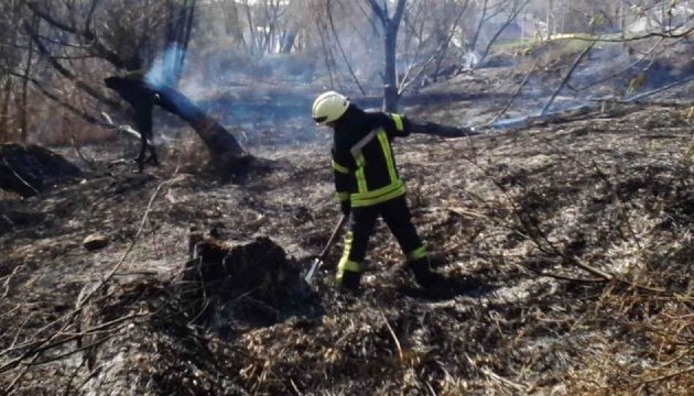 У Києві горить суха трава: загасили більше гектара