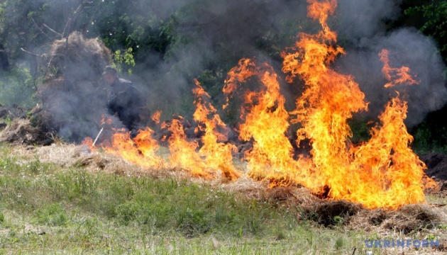 У Києві та кількох областях зберігається надзвичайна пожежна небезпека