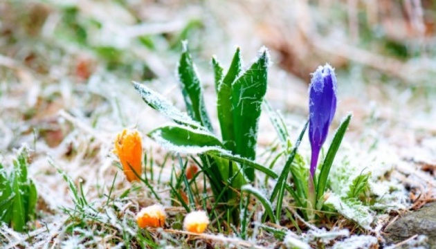 Frosts expected in four regions of Ukraine